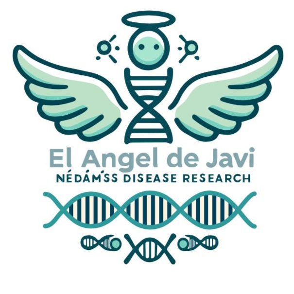 WhatsApp-Image-2025-04-05-at-13.34.30-edited